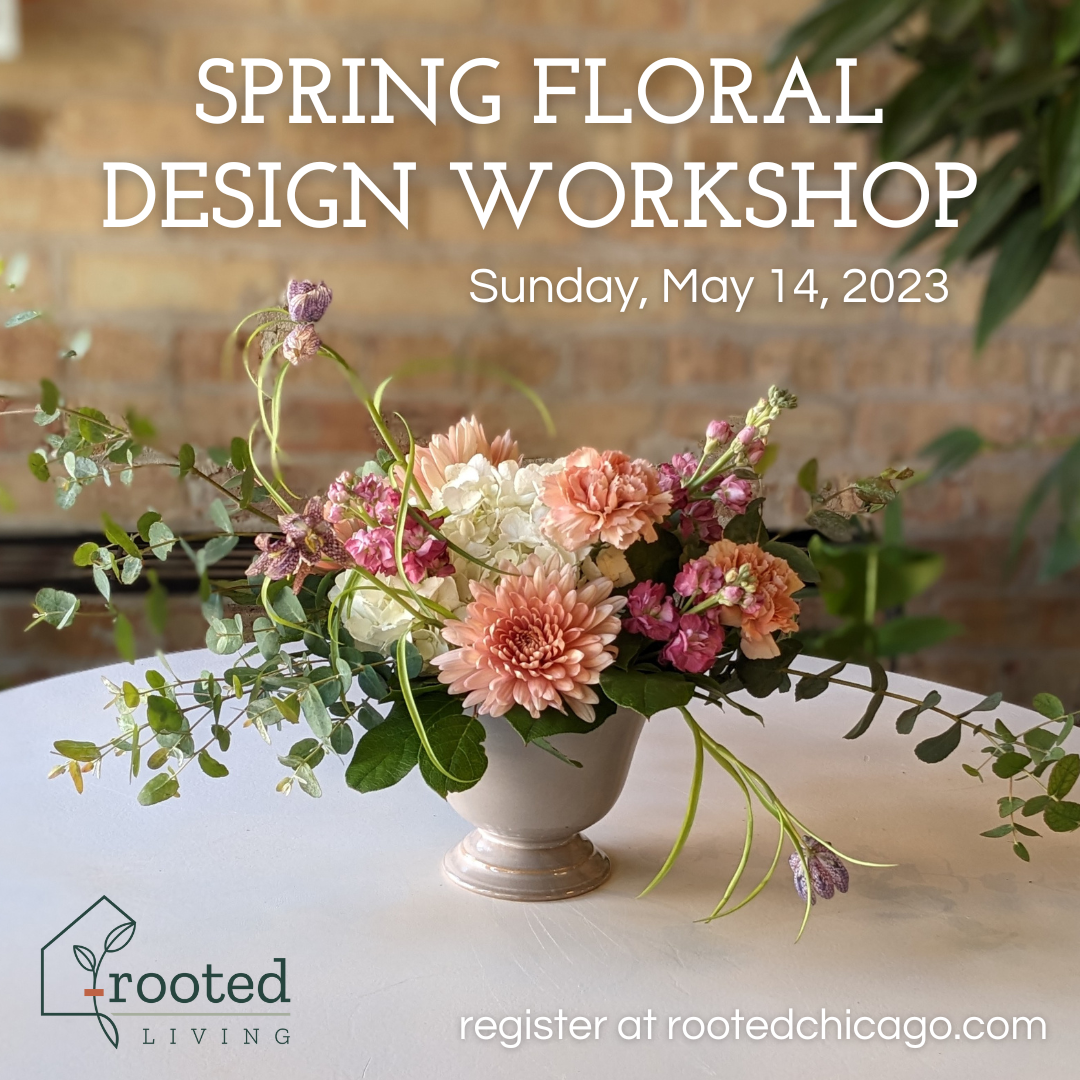 Garden-inspired flower arrangement with pink dahlias for spring at Rooted Living's Spring Floral Design Workshop in Avondale, Chicago