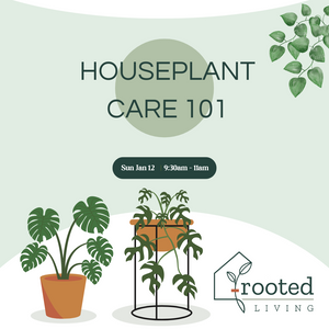 Houseplant Care 101 Class on Sunday, January 12th