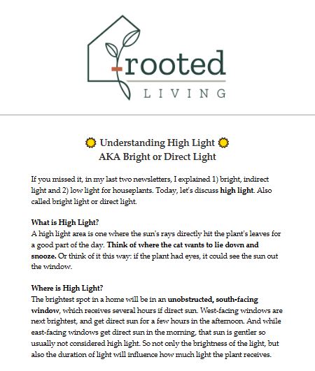 Rooted Living Newsletter: February 12, 2025.