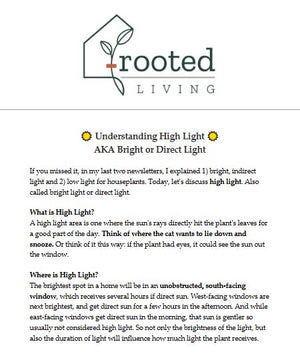 Rooted Living Newsletter: February 12, 2025.