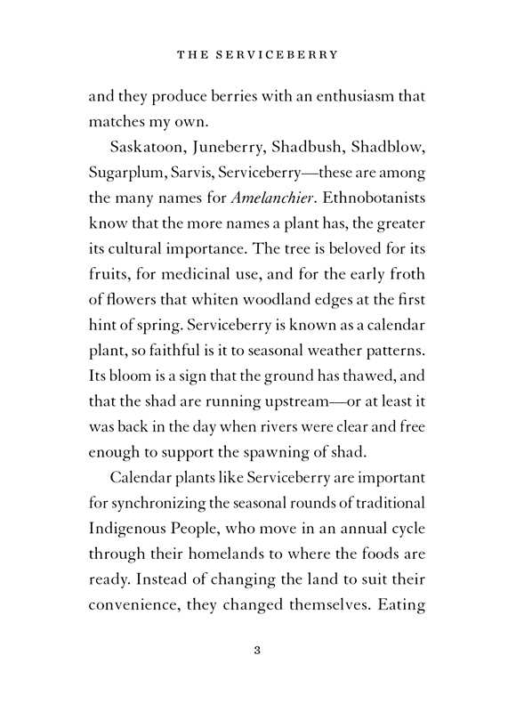 Serviceberry by Robin Wall Kimmerer: Hardcover; 128 pages / English