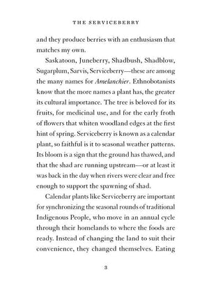 Serviceberry by Robin Wall Kimmerer: Hardcover; 128 pages / English