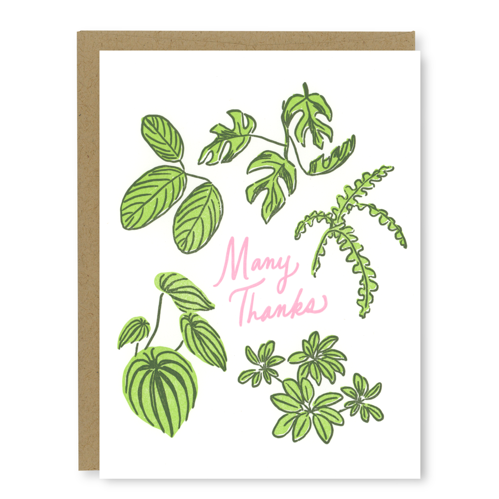 Kindred Letterpress - Houseplant Thank You Card | Letterpress Thank You Card