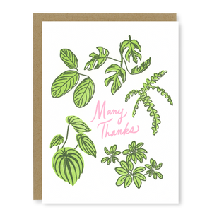 Kindred Letterpress - Houseplant Thank You Card | Letterpress Thank You Card