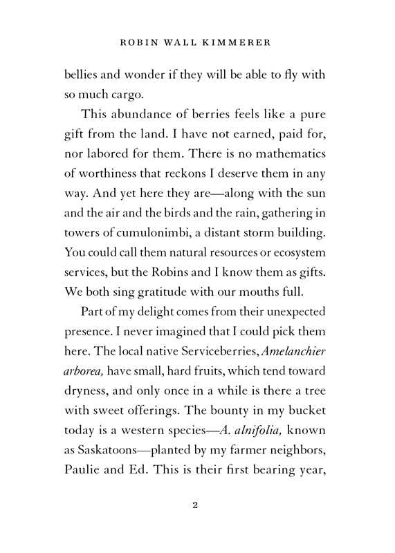 Serviceberry by Robin Wall Kimmerer: Hardcover; 128 pages / English