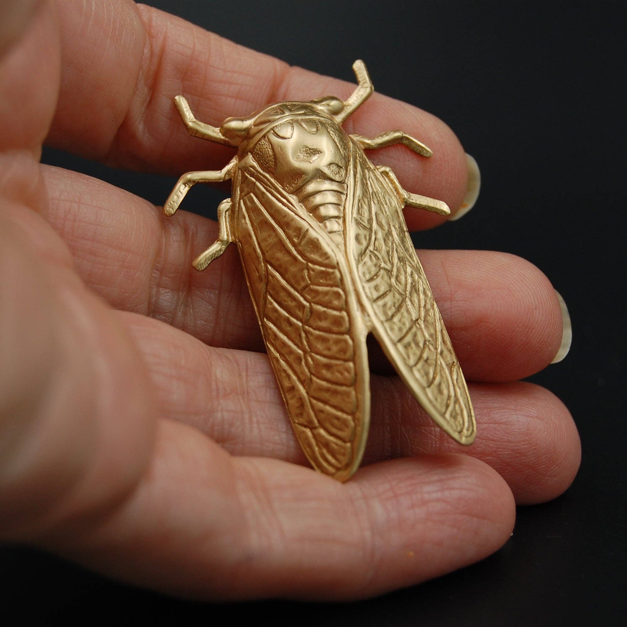 Metal Cloth & Wood - Brass Cicada Insect Pin or Brooch: Antique Brass