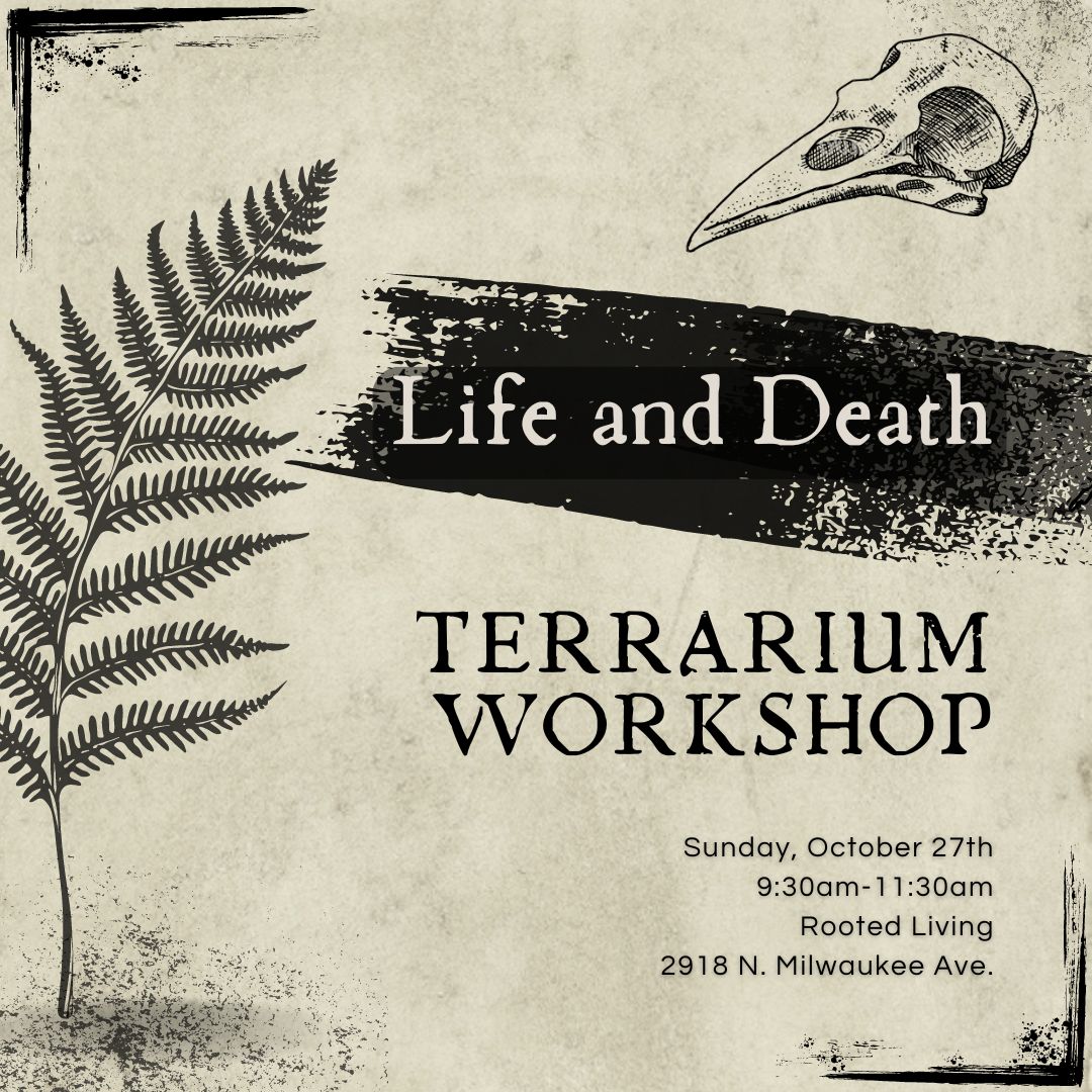 Life and Death Terrarium Workshop || Sunday, October 27