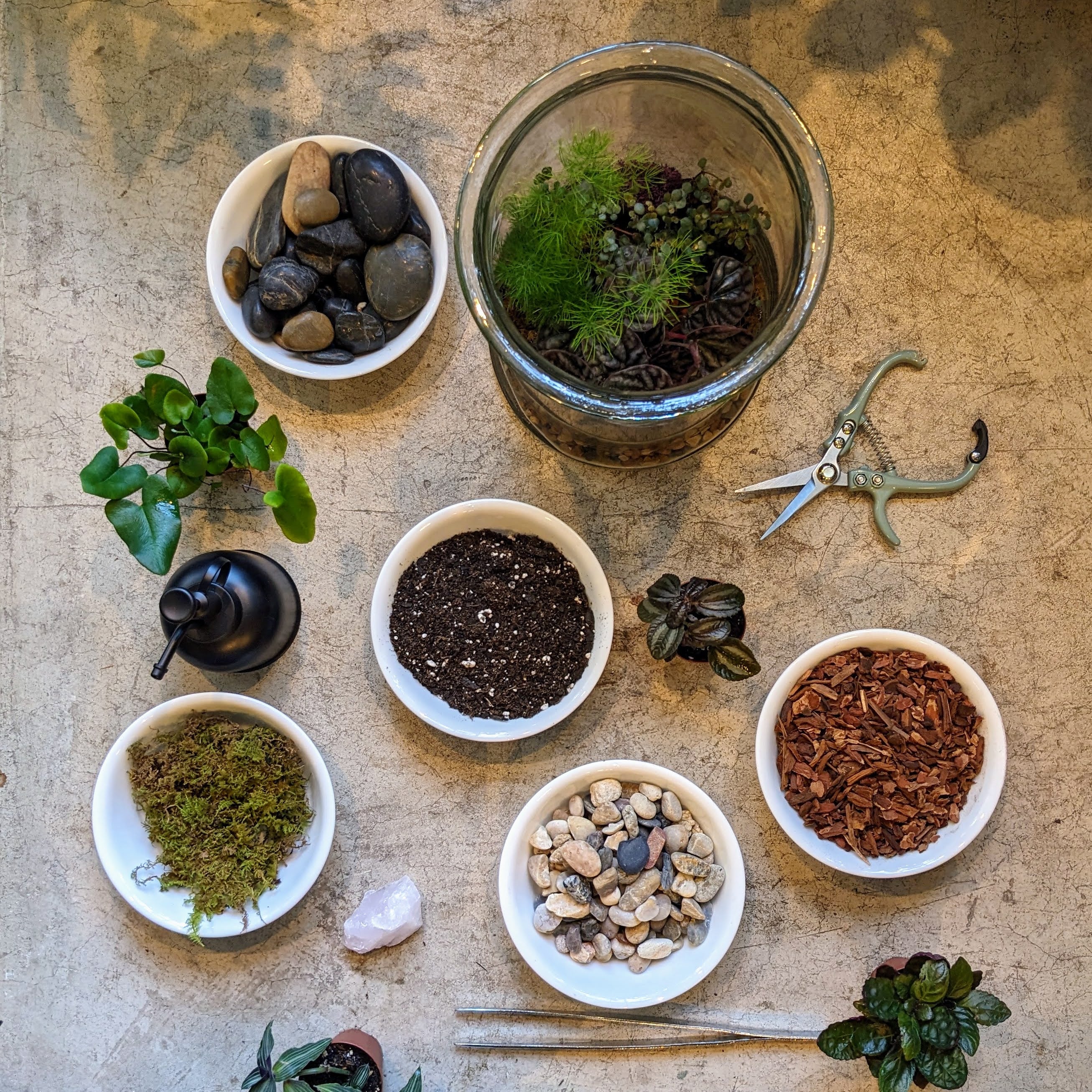 terrarium plants chicago Woodland Terrarium Workshop || Sunday, October 15 – Rooted Living Chicago