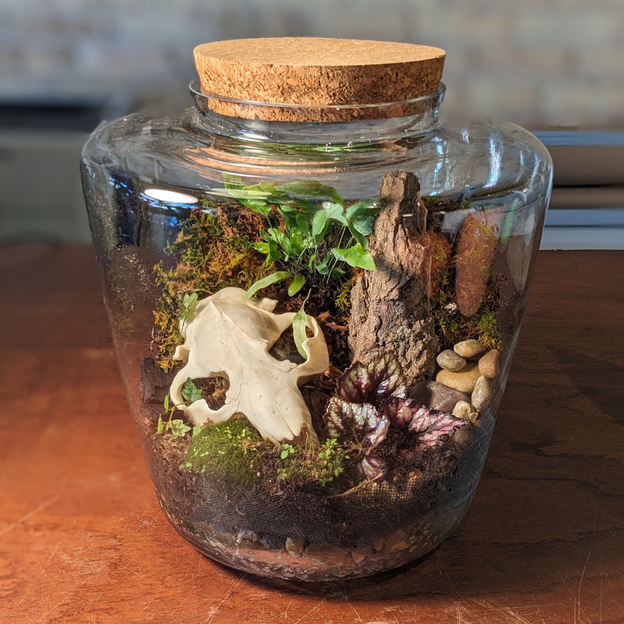 Life and Death Terrarium Workshop || Sunday, October 27