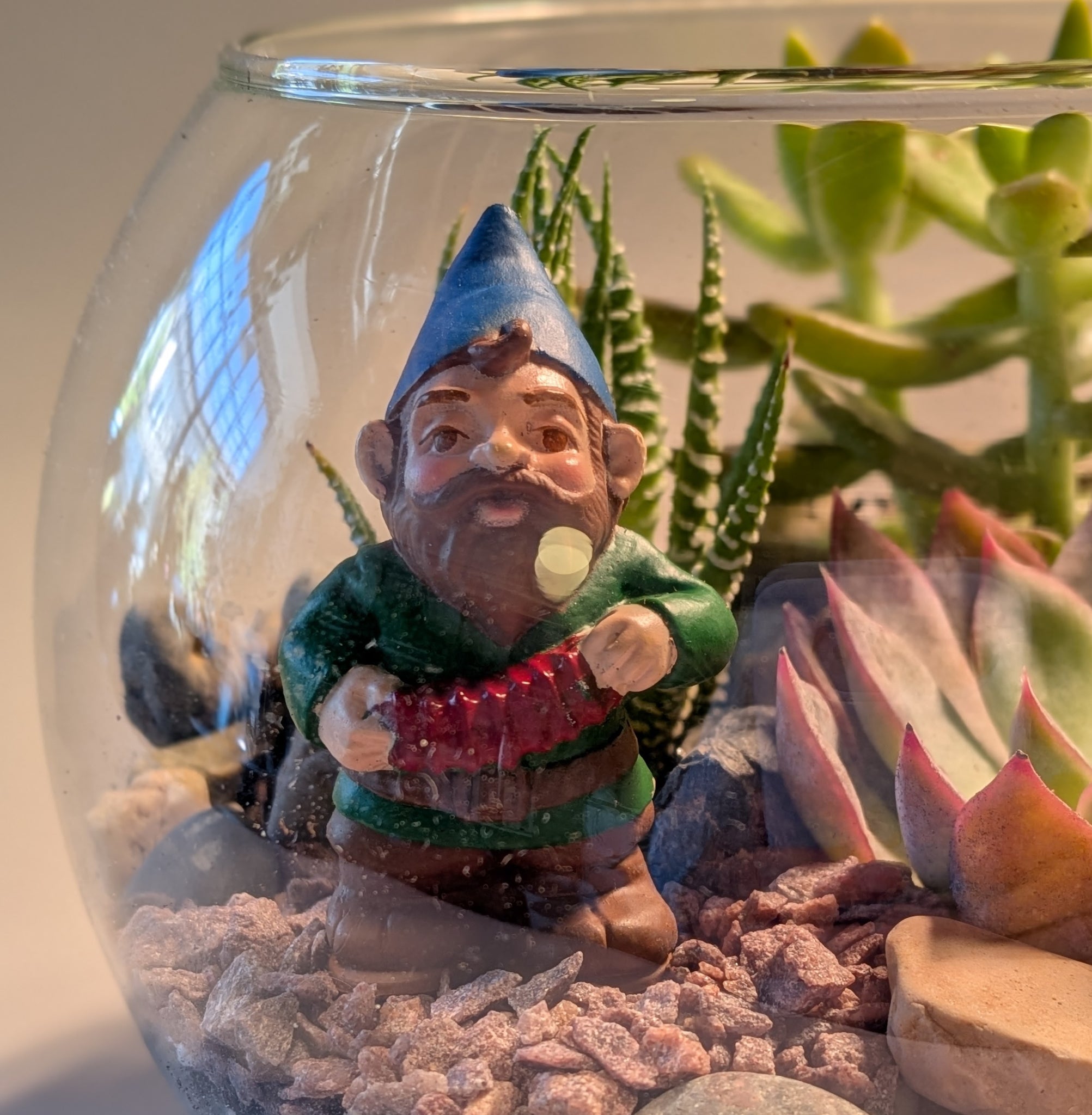 Succulent Terrarium Workshop || Saturday, September 20, 2025