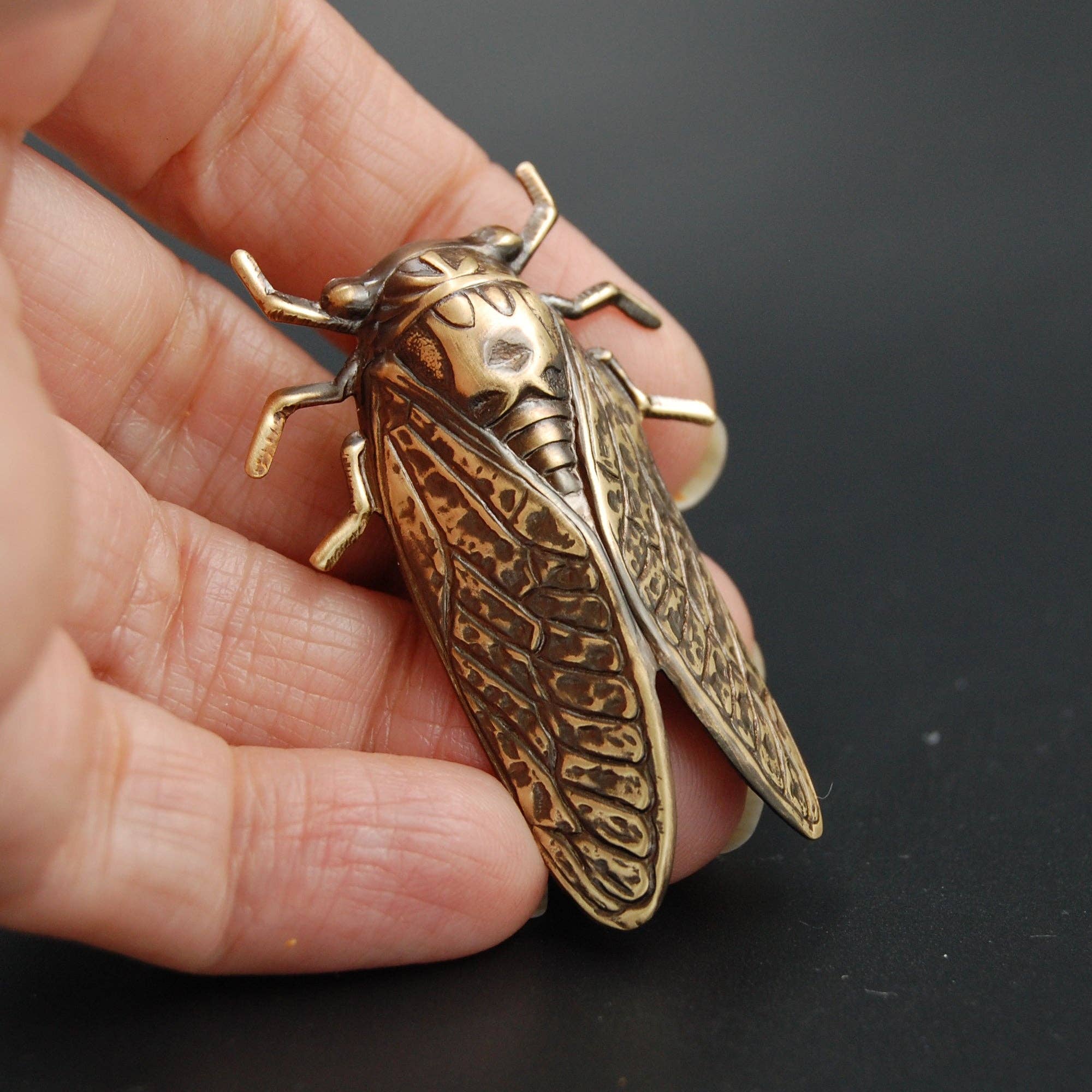 Metal Cloth & Wood - Brass Cicada Insect Pin or Brooch: Antique Brass