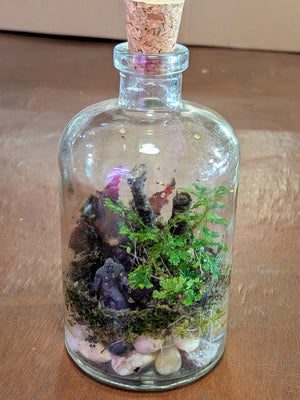 Miniature Terrarium Workshop in Chicago || Sunday, March 8, 2026 – Rooted  Living Chicago