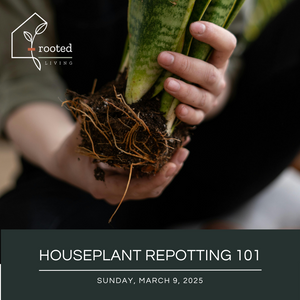 Repotting 101 Workshop || Sunday, March 9, 2025