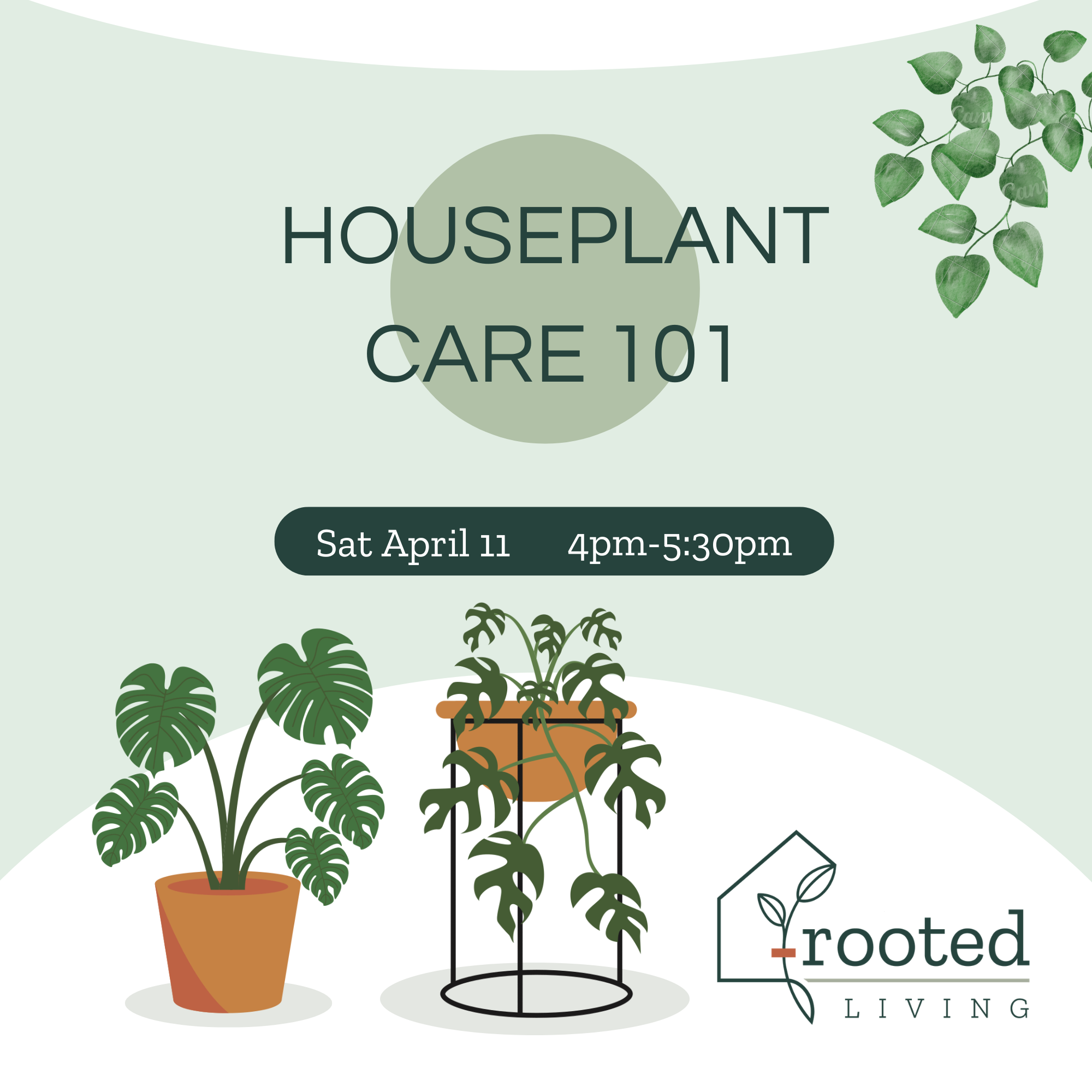 indoor plant care course Houseplant Care 101 Workshop || Saturday, April 11, 2026 – Rooted Living Chicago
