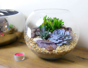 Succulent Terrarium Workshop -- PRIVATE WORKSHOP
