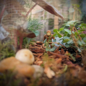 Life and Death Terrarium Workshop || Sunday, October 27