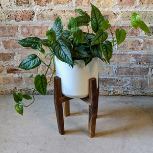 Handmade walnut plant stand shown with 7" Minima pot (sold separately).